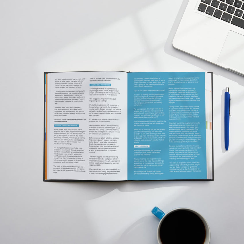 Dailygreatness Success at Work Planner